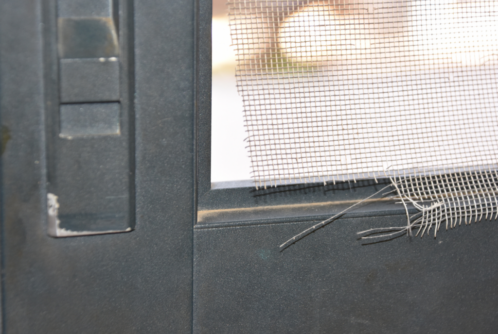 Screen Enclosure Damage and Repairs Deltona Aluminum